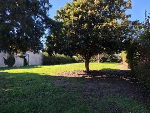 Terreno en Venta 40  mts Fondo
