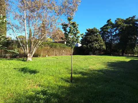Terreno en Venta de 800,0 m2