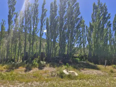 2500 M2 FORESTADOS CERCA DE AV. DEL COMERCIO