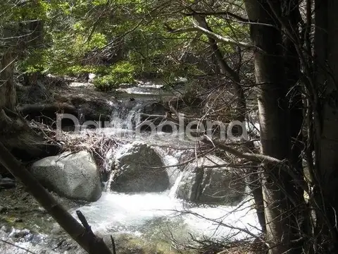 Terreno Campo  en Venta en Cushamen, Chubut, Patagonia