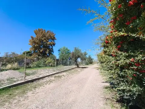 Las Palmas S/N 100
