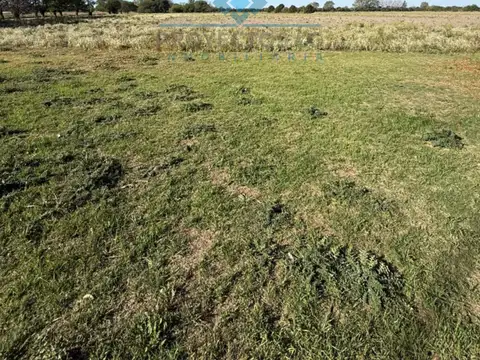 Quinta en Venta 2025 años