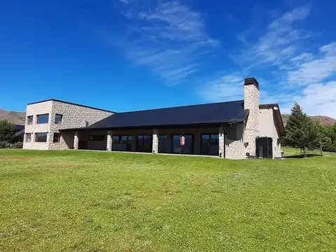 Girasoles del Limay 100