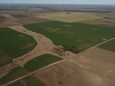 Campo de 221.58has en Venta - San Román Pcia. de Buenos Aires