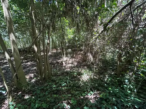 Terreno en Venta 79  mts Fondo