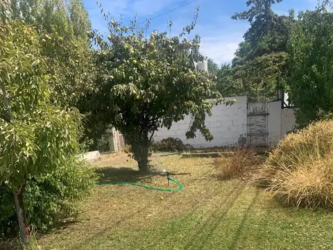 Mariano Rodriguez 300