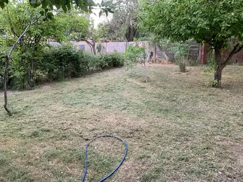 Mariano Rodriguez 300