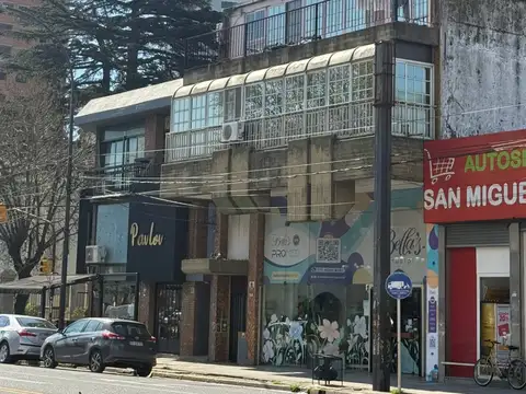 Local De 330 M2 En Alquiler Sobre Av. Pte.  Perón - San Miguel