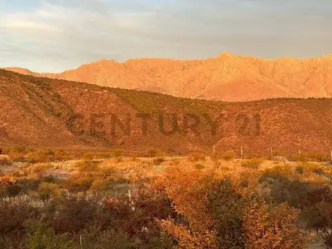 Terreno en Venta en Villa De Las Rosas, USD 22.000