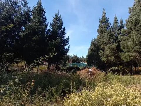 El Michay