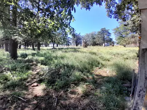 Casa En Venta Estacion Peralta  Almacen Ramos Generales  Mas 12  Hect