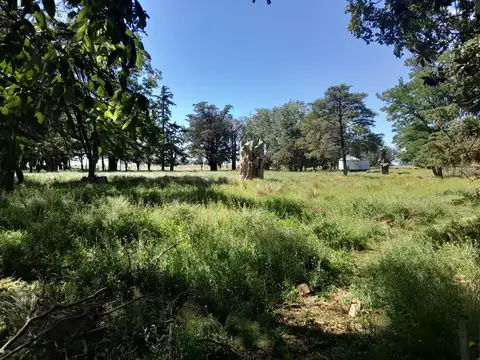 W8VM+5H Peralta, Provincia de Buenos Aires, 100