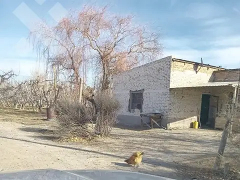 Venta Chacra 21 Hectáreas, frente de ruta provincial 7, San Patricio del Chañar, Neuquen