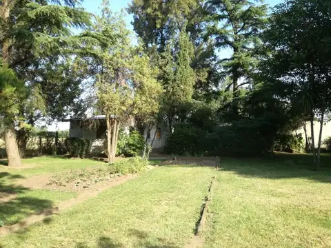 Ricardo Güiraldes 3600