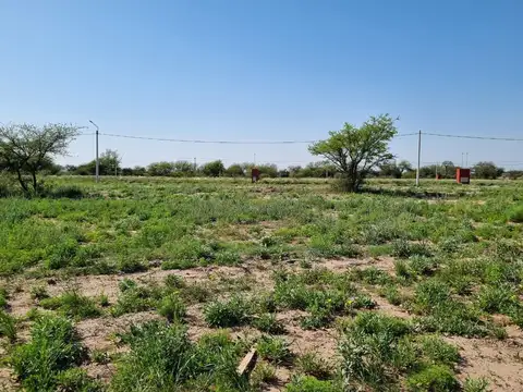 Camino del Arriero
