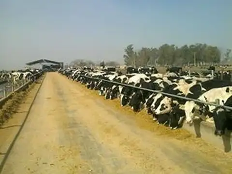 Campo en Venta Mixto