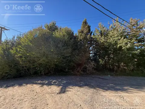 Terreno en venta con vista al lago en km 6 Av Pioneros