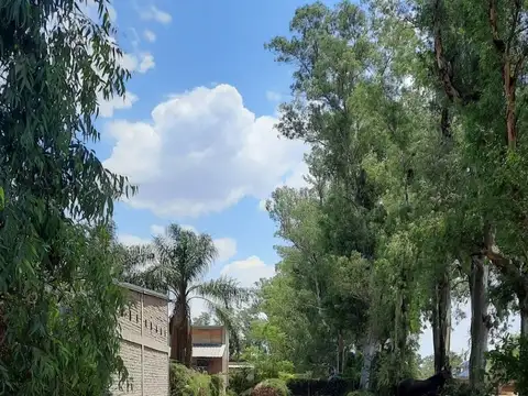 SE VENDE LOTE EN SAUCE VIEJO