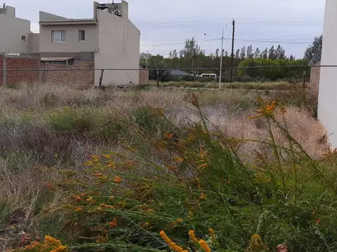 Terreno en Venta en Centenario, USD 38.000