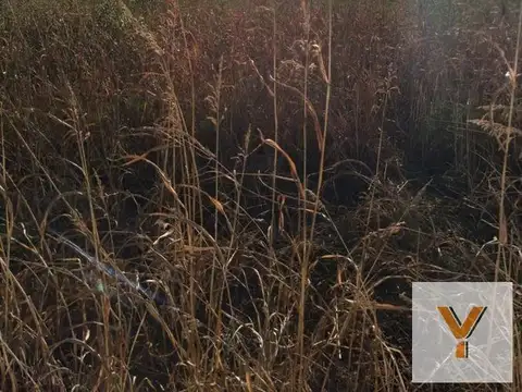 Terreno en venta - 16.000Mts2 - Villa Retiro