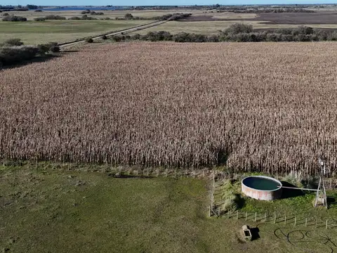 Campo en Venta de 20  ha