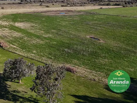 Campo en Venta Mixto