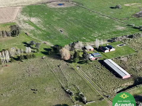 CAMPO DE 20 HECTAREAS    VENTA 