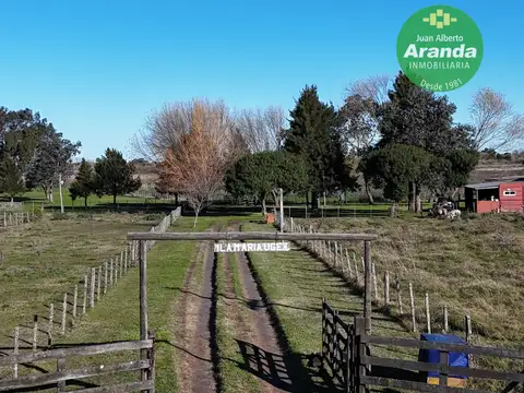 CAMPO DE 20 HECTAREAS    VENTA