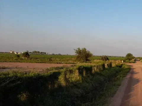 Se venden 6 hectareas de campo