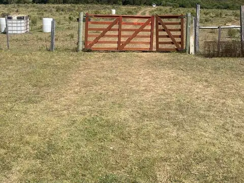 Chacra con vivienda arroyo y cañada en Pan de Azucar 10 ha alquiler 100