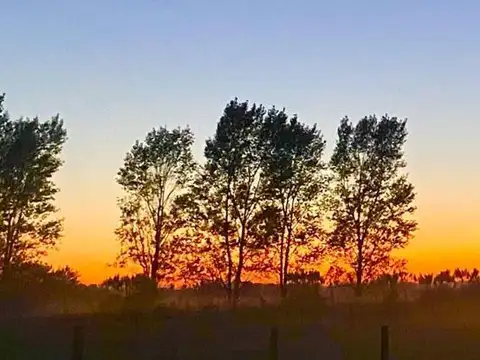 Venta de chacra lote terreno en barrio Estancia Las Malvinas