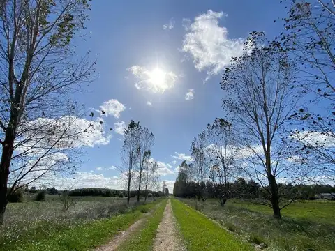 Venta de chacra lote terreno en barrio Estancia Las Malvinas