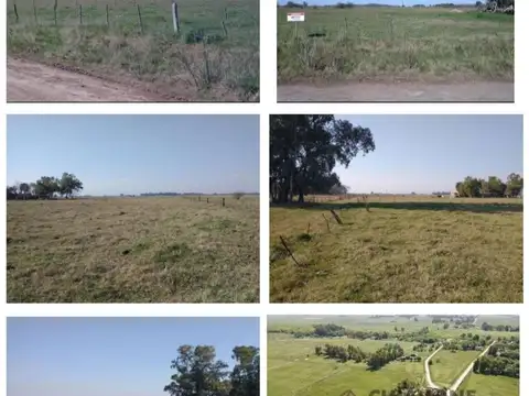 Terreno en Venta en Zapiola, USD 19.000