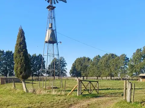 Ruta 36 y Cruce de Bavio