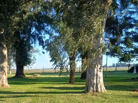 Campo de 30 Hectáreas en venta sobre Ruta 36