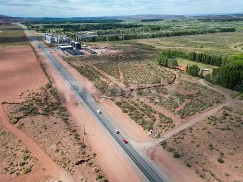 VENTA TERRENO EN VACA MUERTA CON FRENTE DE RUTA 