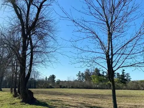 Lote en venta en La Asunción Club de Campo, Luján