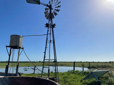 VENTA / CAMPO GANADERO 1385 HECTÁREAS / HUANQUEROS