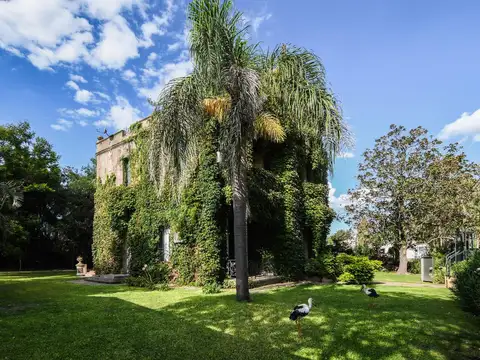 Av. San Martin  al 1200