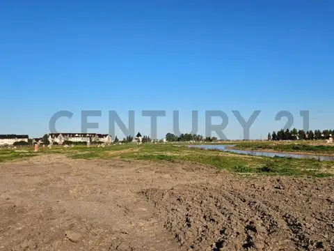 El Deslinde 1300, Piso 0