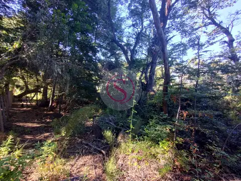 Terreno en Venta de 600,0 m2