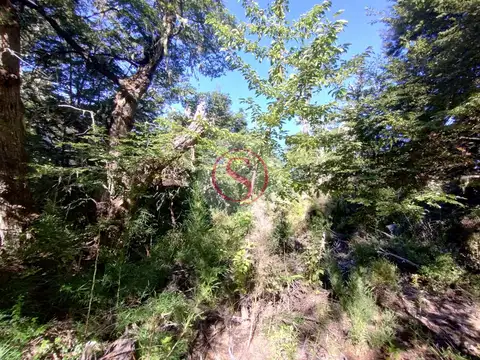 Terreno en Venta de 600,0 m2