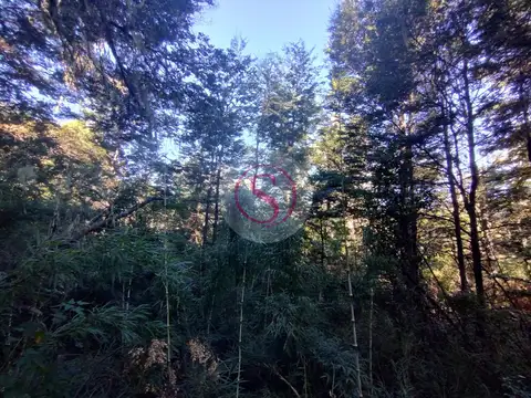 Terreno en Venta en San Martín de los Andes, USD 18.000