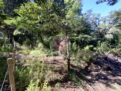 Lote  en Venta en Kaleuche, San Martin de los Andes, Patagonia