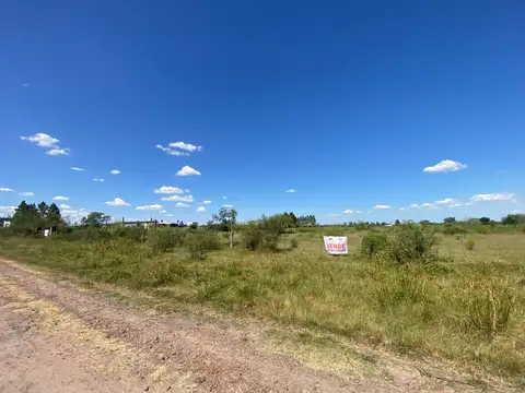 Terreno en Venta de 21779,0 m2