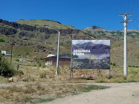 Altos de la Vega 100