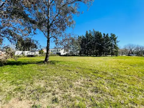 Fincas de San Vicente