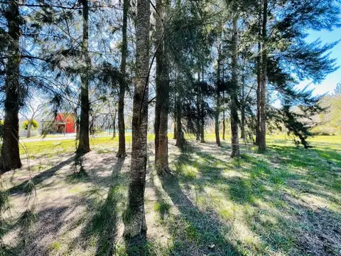 Lote en venta Fincas de San Vicente