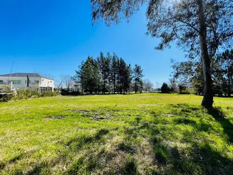 Fincas de San Vicente