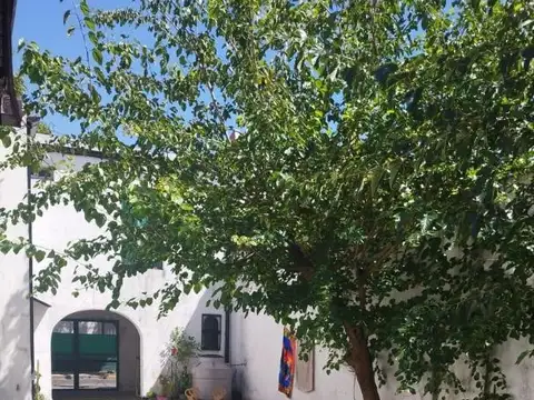 Depto Tipo Casa en Alquiler de 3 ambientes